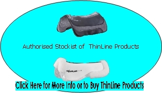 ThinLineHomeDesign1.jpg