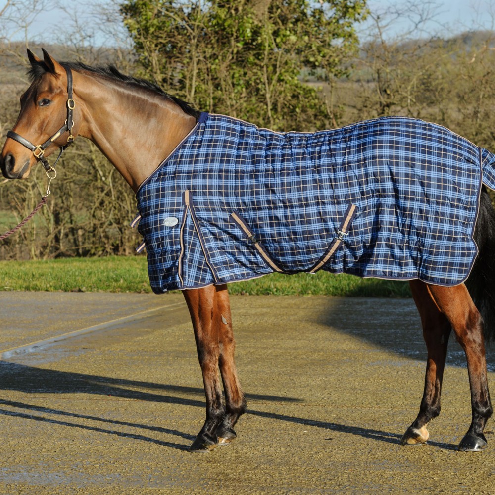 Loveson Standard Neck 100g Stable Rug - Click Image to Close