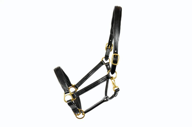 Leather Headcollar - Padded With Brass Fittings