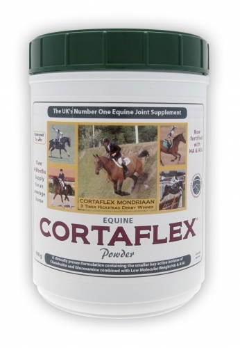Equine America Cortaflex Regular Powder