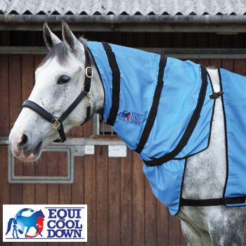 Equi Cool Down Neck Rug