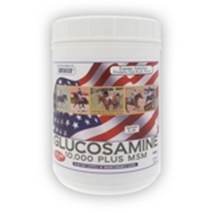 Equine America Glucosamine 10,000 plus MSM & ASU