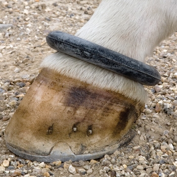 Fetlock Ring (Sausage Boot)