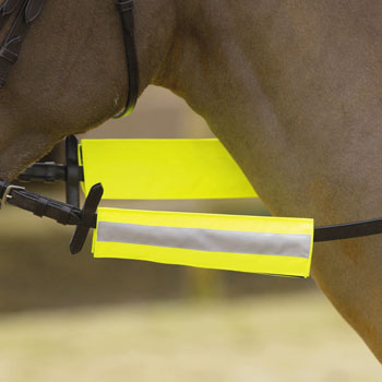 Yellow Bridle / Halter Bands