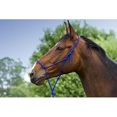 Soft Rope Halter
